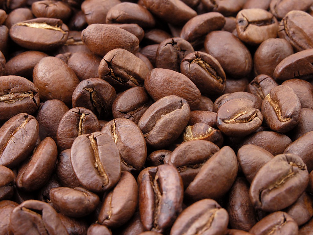 México exporta el 60% de su café a Estados Unidos / Foto: Wikipedia