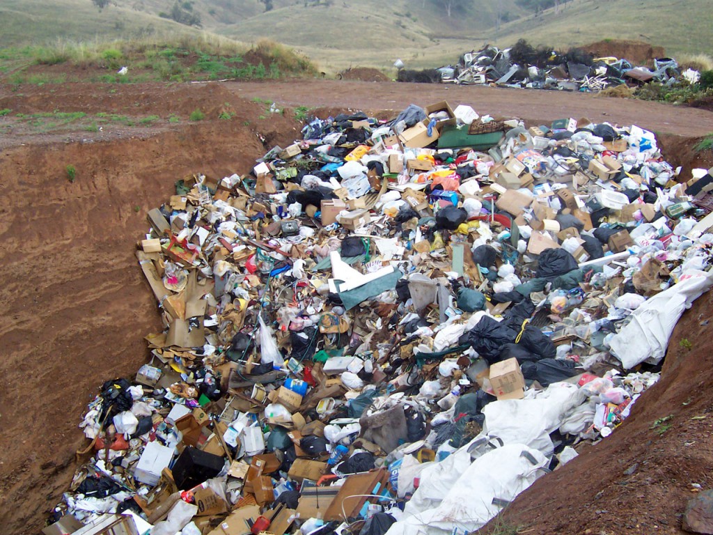 El reciclaje de residuos orgánicos representa un enorme problema de salubridad / Foto: Wikipedia