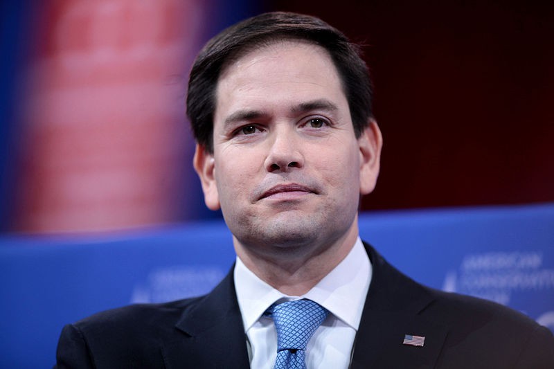 Existe mucha simpatía hacia el senador de origen cubano Marco Rubio / Foto: Wikipedia