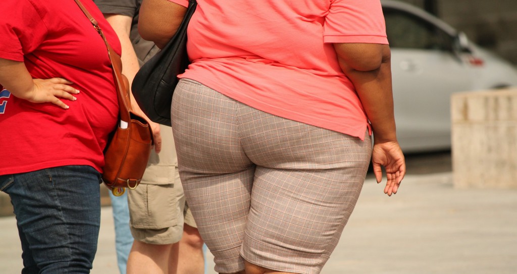 En Latinoamérica la obesidad crece de forma descontrolada / Foto: Pixabay