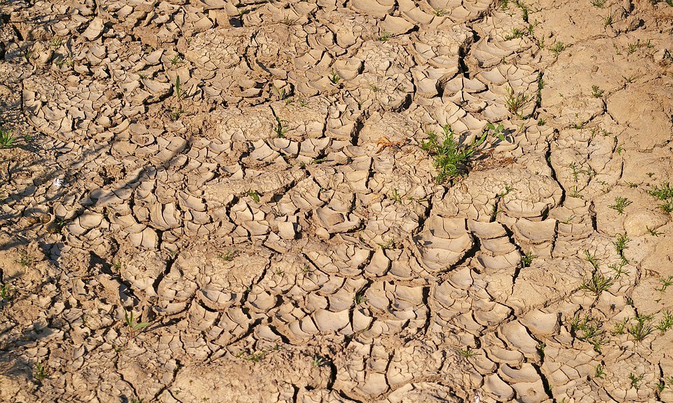 Las sequías y las tormentas están reventando los cultivos de los centroamericanos / Foto: Pixabay