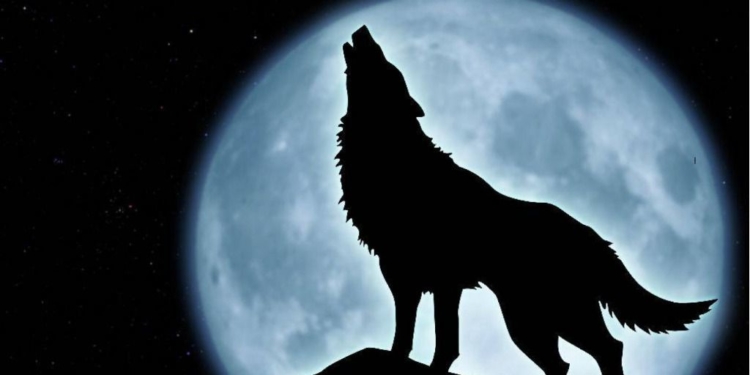 Según la leyenda este personaje fue condenado a vagar como un lobo sin suerte / Foto: ThingLink