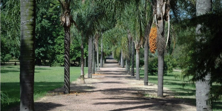 El 17 de abril de 1902 se aprobó la iniciativa del Jardín Botánico / Foto: Gobierno de Montevideo