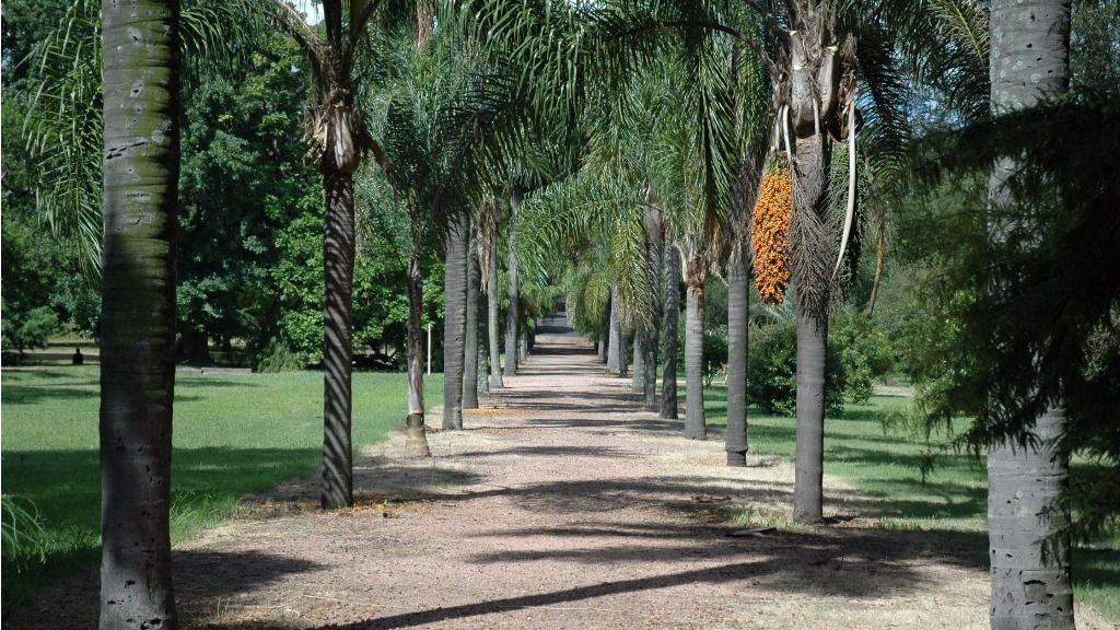 El 17 de abril de 1902 se aprobó la iniciativa del Jardín Botánico / Foto: Gobierno de Montevideo