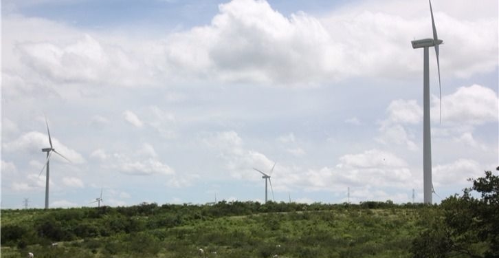 La unión de Neoenergia y Elektro convierte a Iberdrola en la mayor distribuidora de Brasil / Foto: Iberdrola