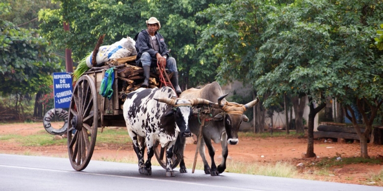 Paraguay es uno de los países más pequeños de América Latina, cuenta con 6,6 millones de habitantes / Foto: Pixabay