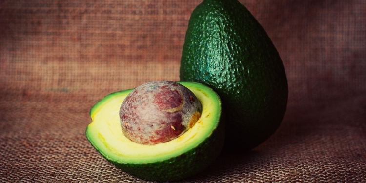 El aguacate mexicano genera 19.000 empleos en EEUU, según la Apeam / Foto: Pixabay