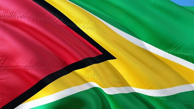 Bandera de Guyana
