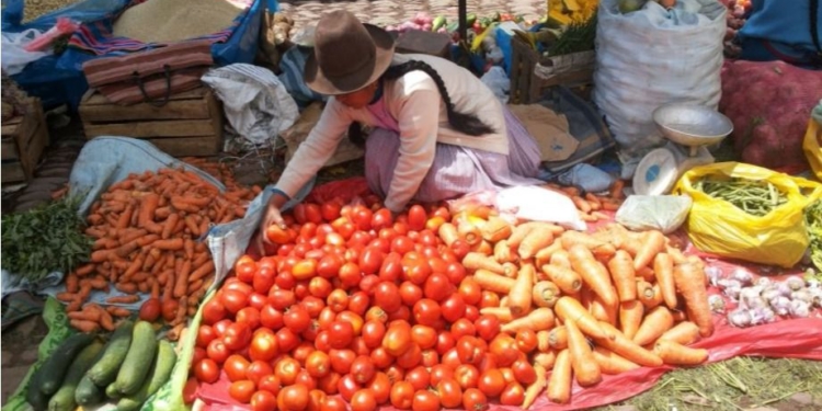 Los trabajos urbanos de agricultura, pesca y minería aumentaron un 4% en octubre / Foto: Pxhere