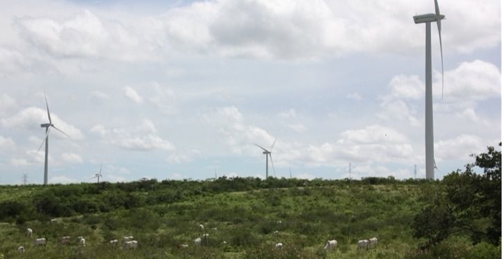 Neoenergía, filial brasileña de Iberdrola, aprueba una ampliación de capital de 655 millones de euros / Foto: Iberdrola