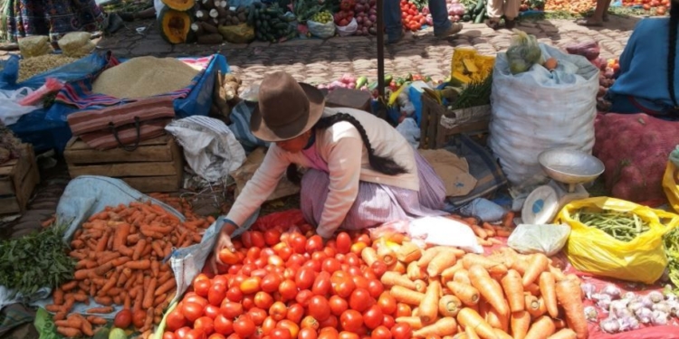 Telefónica y la FAO incorporarán herramientas digitales para facilitar las tareas agrícolas / Foto: Pxhere