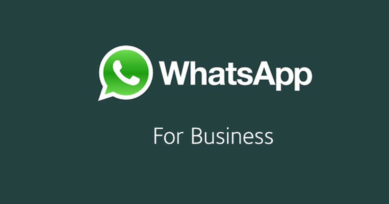 Con esta aplicación la empresa puede crear un perfil como los que ofrece Google y Facebook / Foto: Whatsapp