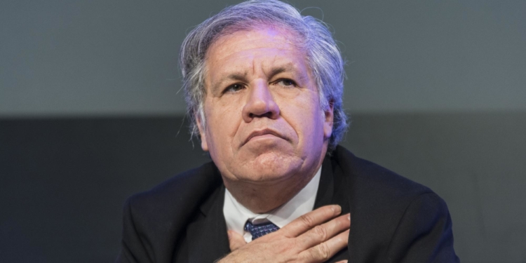 Luis Almagro: “Hoy Venezuela es una dictadura de impunes” / Foto: Casa de América