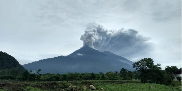 Guatemala solicitará a EEUU protección para migrantes tras la erupción de volcán / Twitter: @conredGuatemala