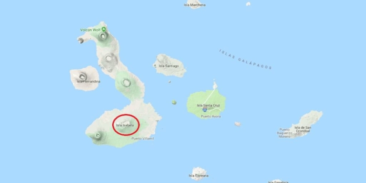 50 personas evacuadas tras la erupción del volcán / Foto: Google Maps