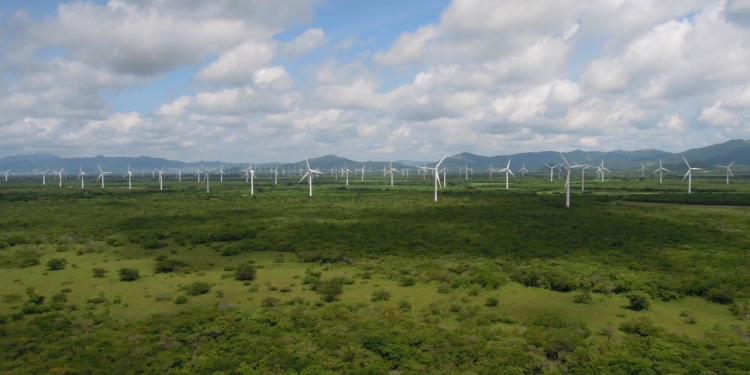 Los molinos de Iberdrola son los principales productorers de energía eólica del mundo / Foto: Iberdrola