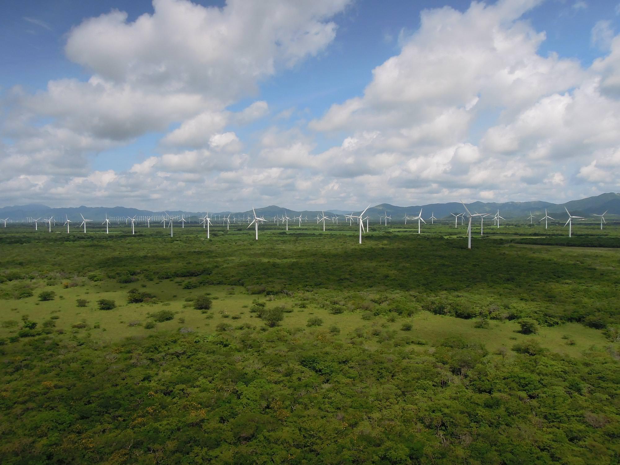 Los molinos de Iberdrola son los principales productorers de energía eólica del mundo / Foto: Iberdrola