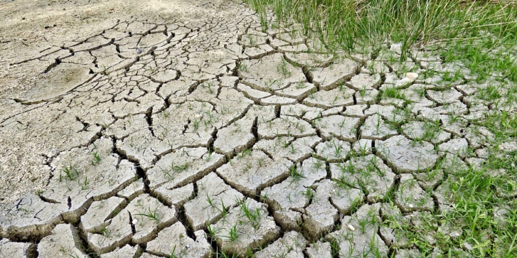 cambio climático