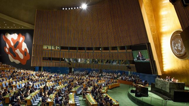 Asamblea General de las Naciones Unidas