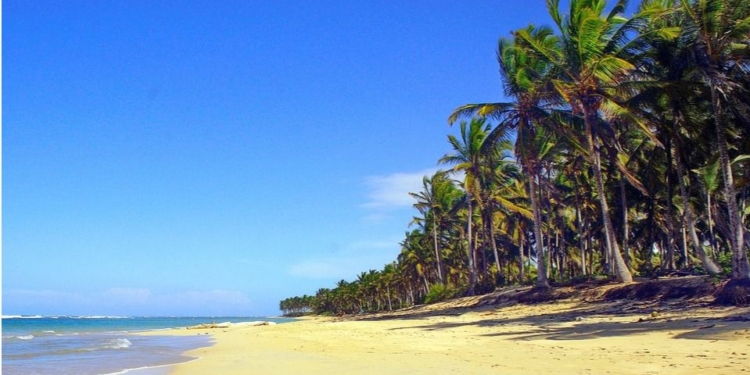 República Dominicana prepara terrenos vírgenes para la explotación turística / Foto: Pixabay