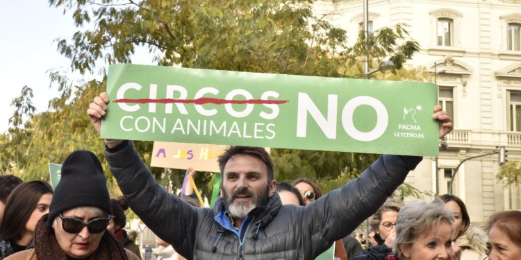 Por primera vez en su historia, el Partido Animalista puede tener representación político / Foto: Pacma