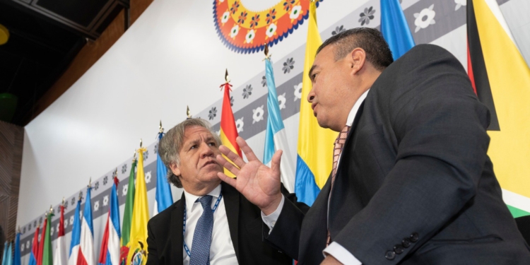 Para la OEA los enviados de Guaidó son los representantes de Venezuela / Foto: OEA