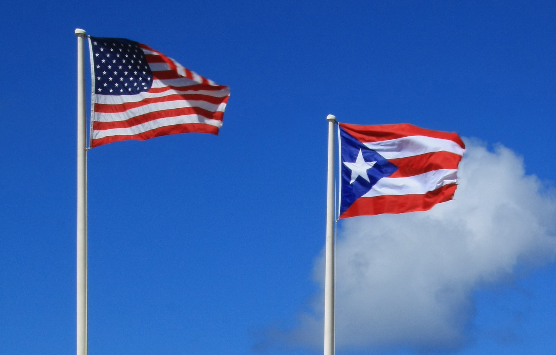El 97% de los votantes puertorriqueños respaldó la estadidad / Foto: WC