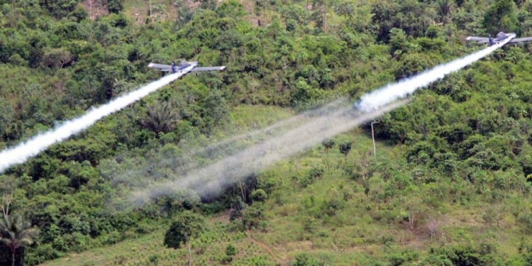 El gobierno cree que las fumigaciones se puede hacer de forma segura / Foto: WC