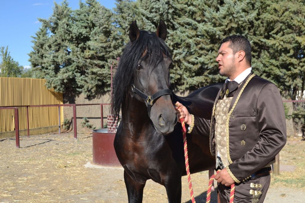 Agudelo se propone ahora interpretar canciones sobre un caballo andaluz / Foto: Cortesía