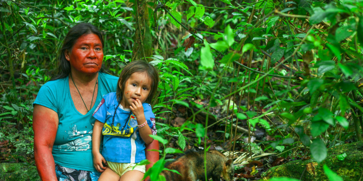 Defender los derechos del medio ambiente es un riesgo de cárcel en Perú / Foto: ONU