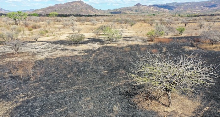 Vista aérea del árido terreno en El Triunfo, en Honduras, el 29 de marzo de 2021. Entre 720 y 811 millones de personas en todo el mundo sufrieron hambre en 2020, unas 161 millones más que el año anterior, lo que aleja el objetivo de desarrollo sostenible (ODS) de acabar con el hambre para 2030, según el último informe anual sobre el estado de la seguridad alimentaria y el hambre en el mundo.