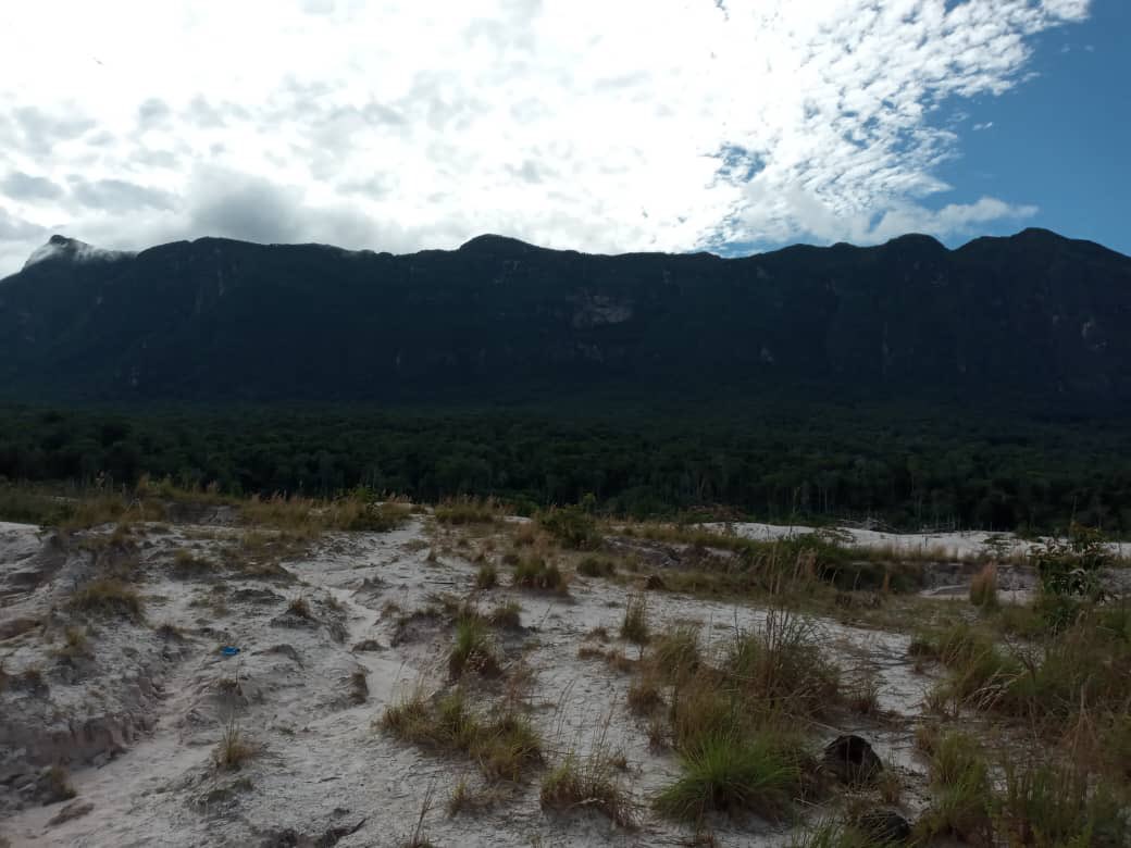 Los territorios indígenas de Venezuela, devastados por la minería ilegal (+fotos)