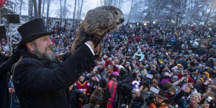 La marmota Phil pronostica otras seis semanas de invierno en EE.UU.