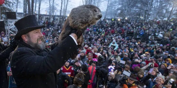 La marmota Phil pronostica otras seis semanas de invierno en EE.UU.