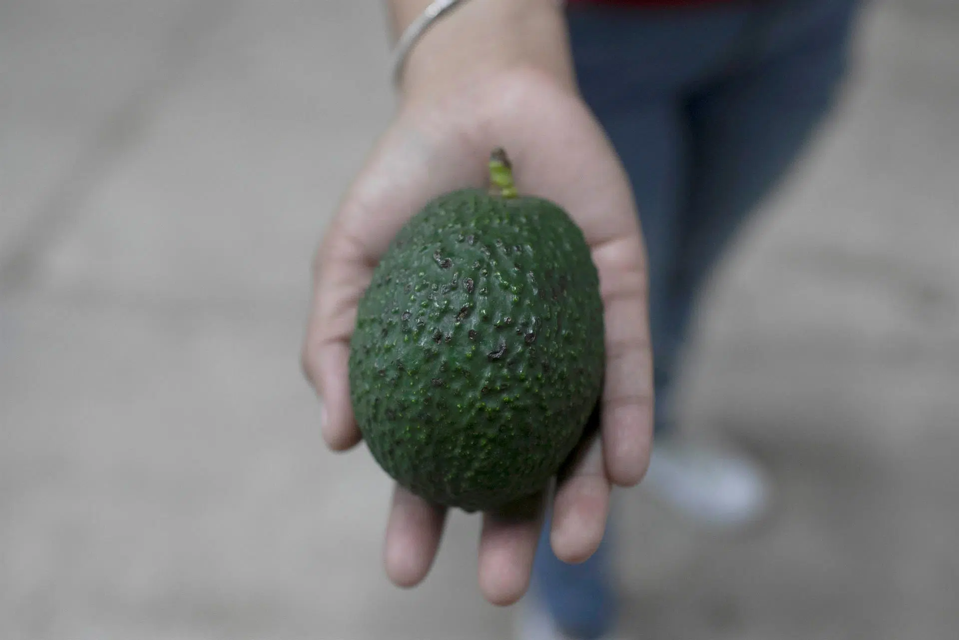 Aguacate mexicano, contra las cuerdas en EE.UU. tras inseguridad en Michoacán