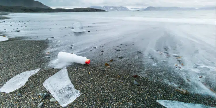 crisis climática