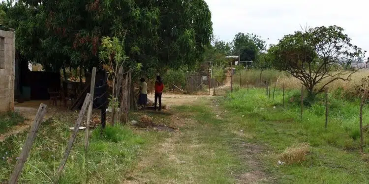 "Allá le dejé un regalo", el macabro mensaje que enviaron al dueño de la finca zuliana donde masacraron a 4 personas