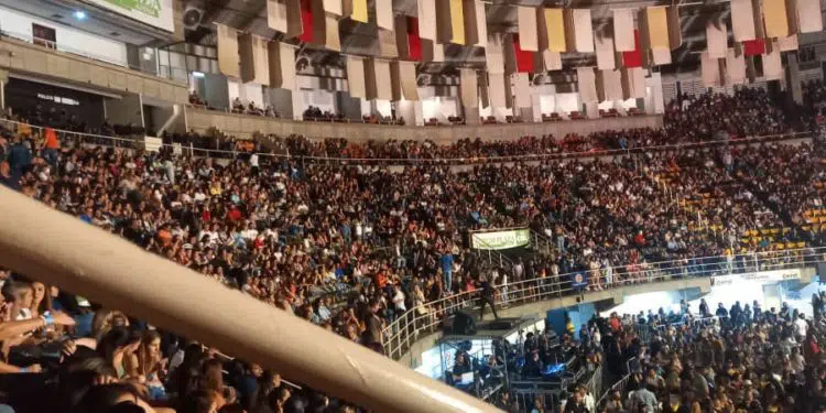 Un enjambre de abejas, el inusual motivo que retrasó el concierto de Servando y Florentino en Valencia