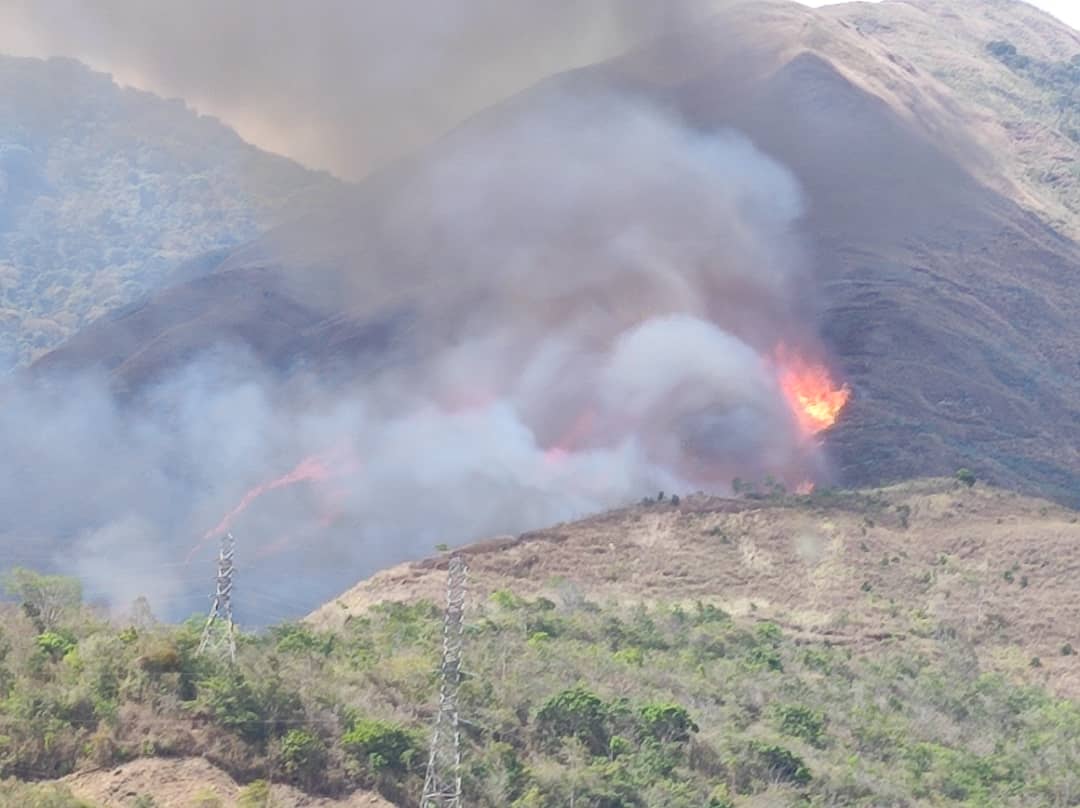 Más de 16.000 hectáreas han sido afectadas en Venezuela por incendios forestales