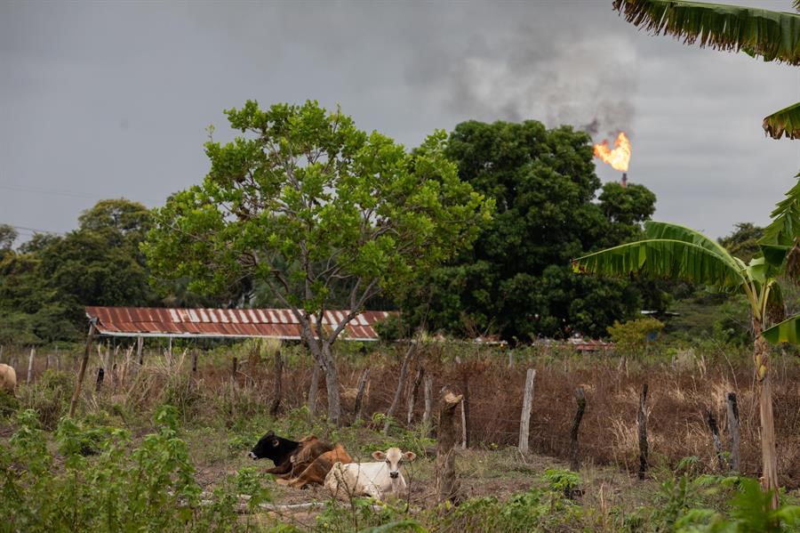 Los "mechurrios", la llama que no cesa en comunidades petroleras de Venezuela