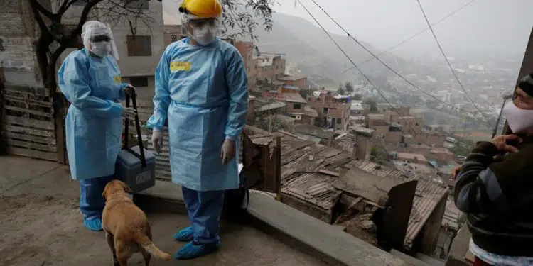 hepatitis infantil aguda de origen desconocido