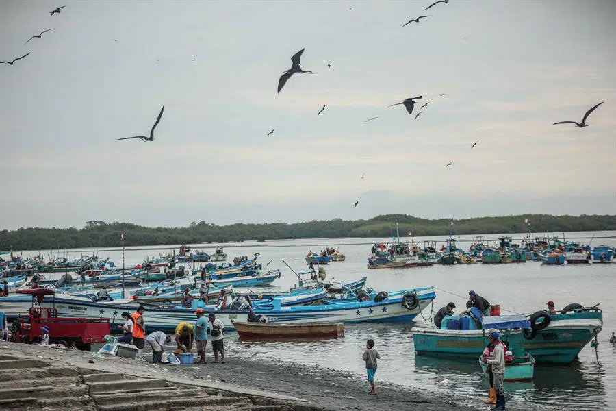 Migrantes venezolanos