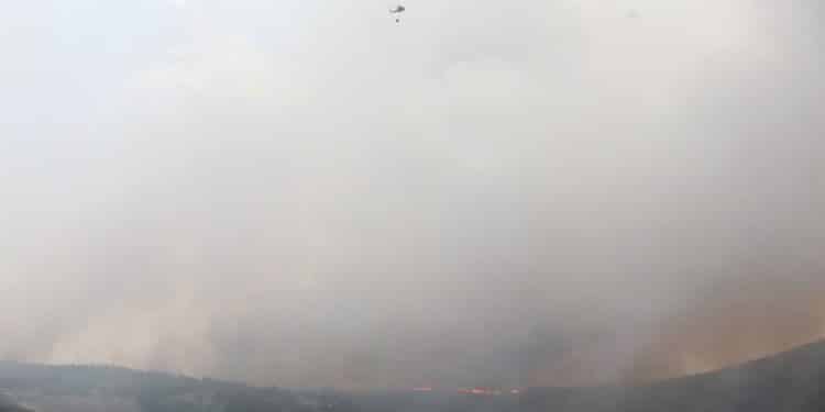 Incendio de las Hurdes y Monsagro en la zona salmantina de El Guindo y Copero, un paraje de pinares que afecta a Monsagro, El Maíllo y Serradilla del Arroyo (Salamanca). EFE / Carlos García.