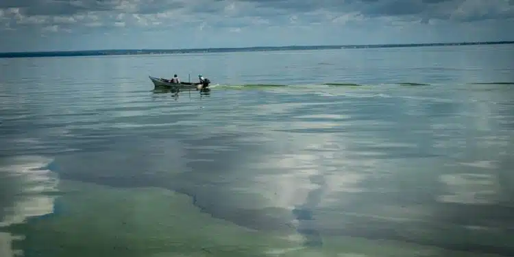 Fotografía de manchas de petroleo el 20 de octubre del 2022, en el Lago de Maracaibo (Venezuela). Las manchas negras de petróleo se mueven libres por las costas venezolanas, donde se han contabilizado este año 68 derrames, dejando una estela de destrucción que se abre paso en el mar y se convierte en una enfermedad crónica para la que nadie tiene cura. EFE/ Henry Chirinos