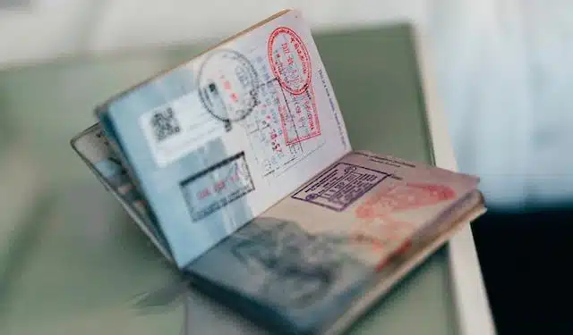 Pasaportes