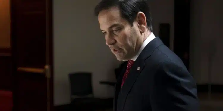 Rubio