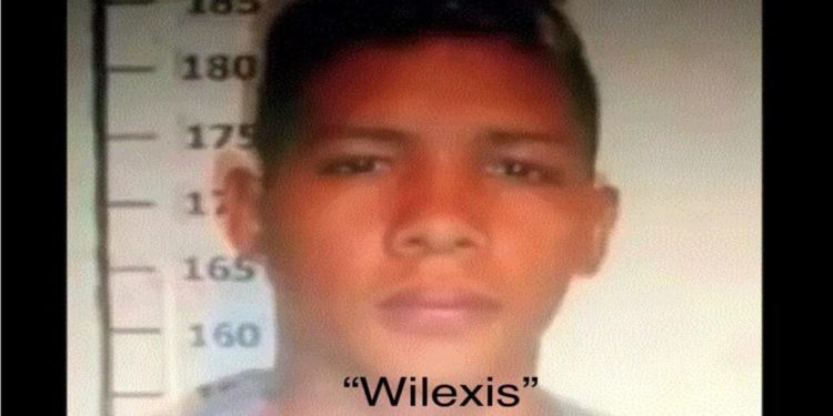 Wilexis