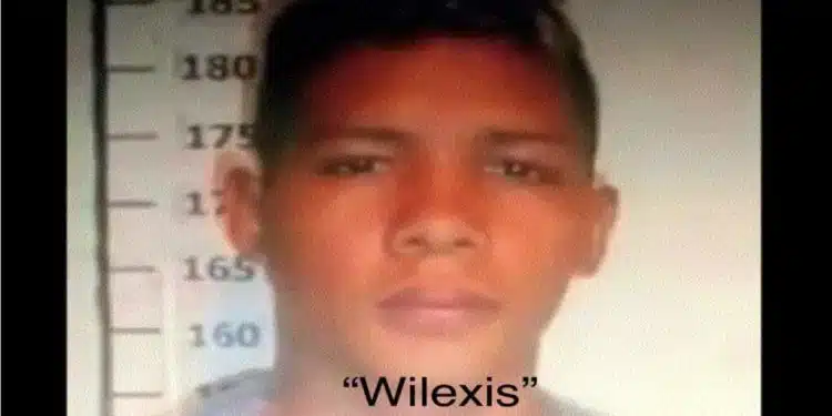 Wilexis