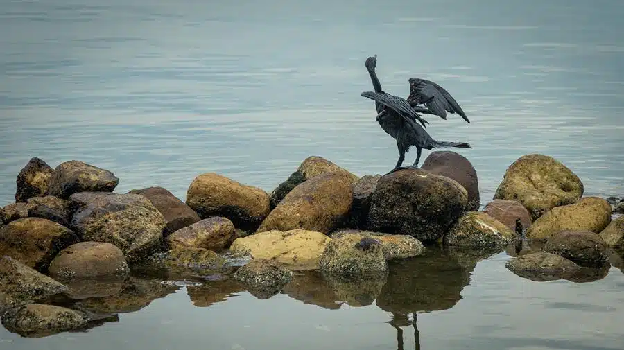 Lago de Maracaibo