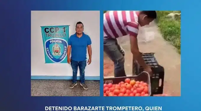 productor agrícola